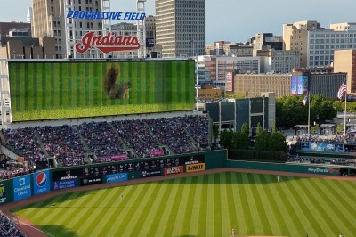 VIDEO: Twins-Indians Game Hilariously Delayed After Squirrel Invades Field