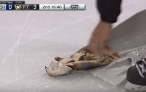 Pittsburgh police charge Nashville man for catfish toss during Stanley Cup game 1
